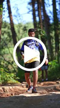 BIB:  <button type="button" onclick="openModal(26787772)" class="btn btn-primary btn-sm float-right" data-toggle="modal" data-target=".modal-high-quality">
                <i class="fa fa-download"></i> Download
                </button>